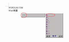 word2003����ʲ