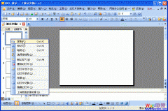 ����WPS��ʾ����