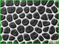 Photoshop�˾���������Ķ���ʯ·